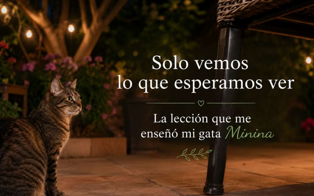 Solo vemos lo que esperamos ver: la lección que me enseñó mi gata Minina
